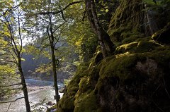 RME_2839 Schleierfaelle an der Ammer